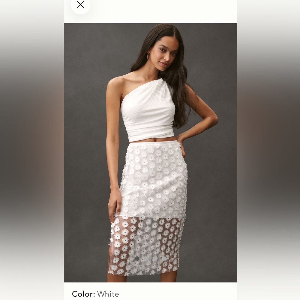 NWT Anthropologie 3D Texture floral sheer slip midi skirt